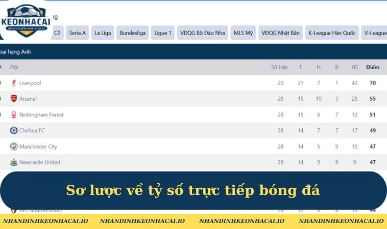 so luoc ve ty so truc tiep bong da Sơ lược về tỷ số trực tiếp bóng đá